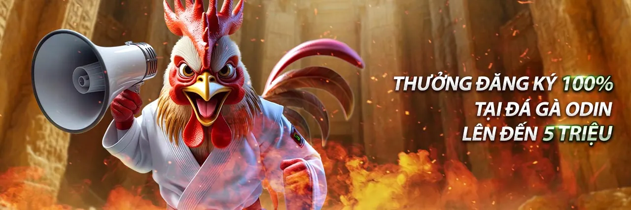 Hình ảnh minh họa cá cược có trách nhiệm tại rio66 bet